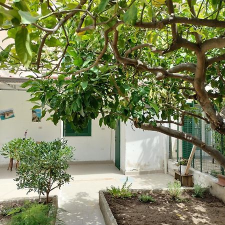 Sunny House Apartment Parghelia Exterior photo
