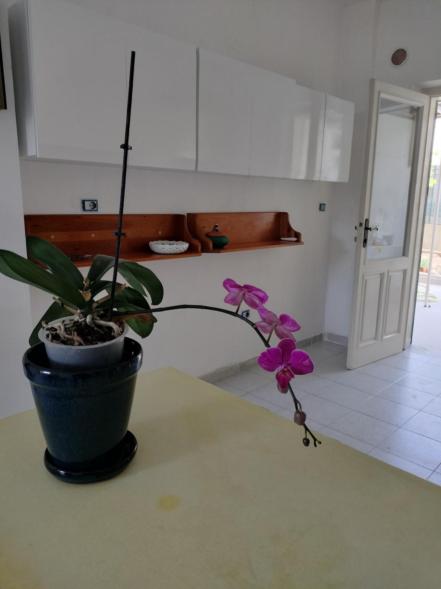 Sunny House Apartment Parghelia Exterior photo