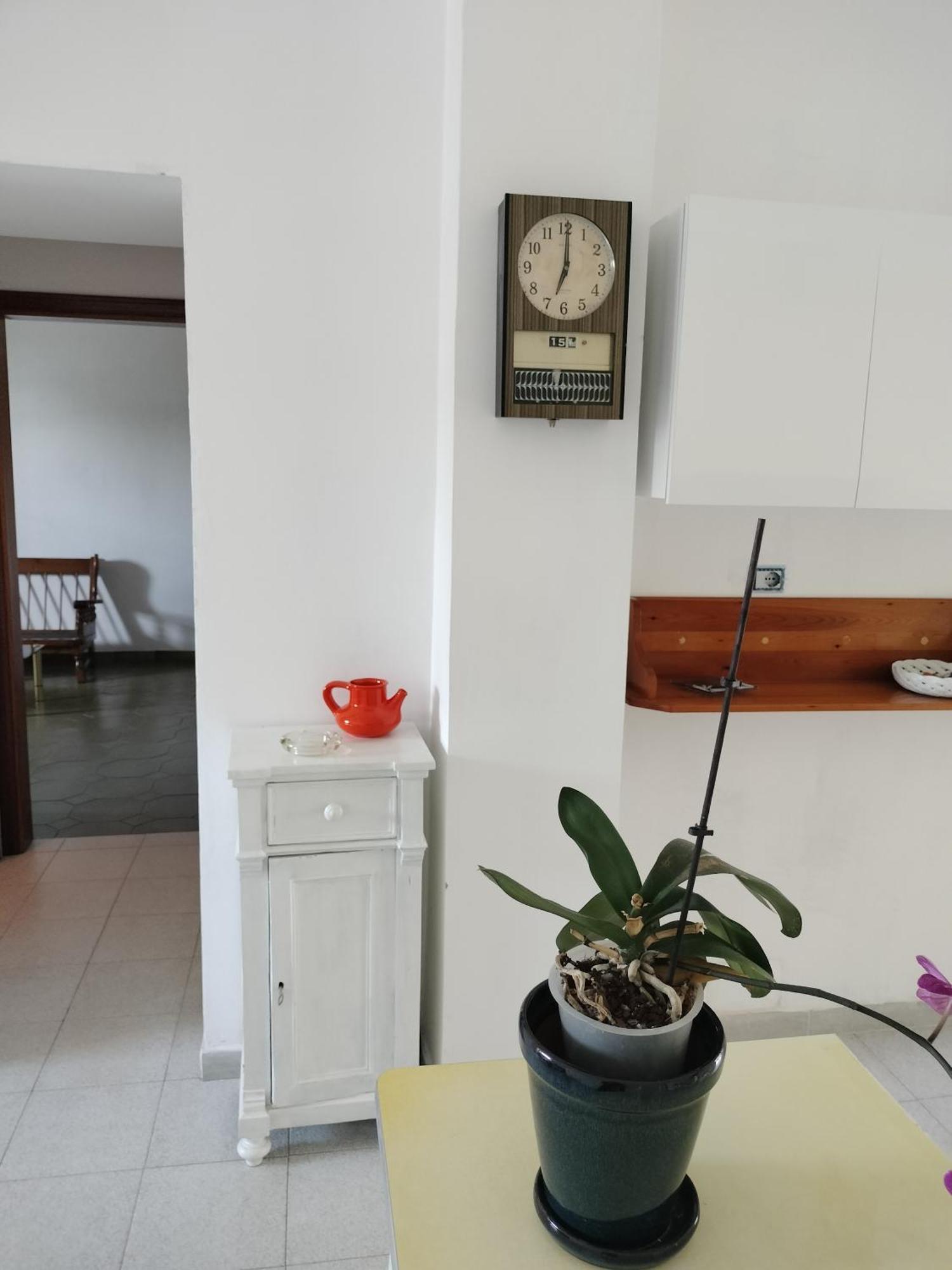 Sunny House Apartment Parghelia Exterior photo