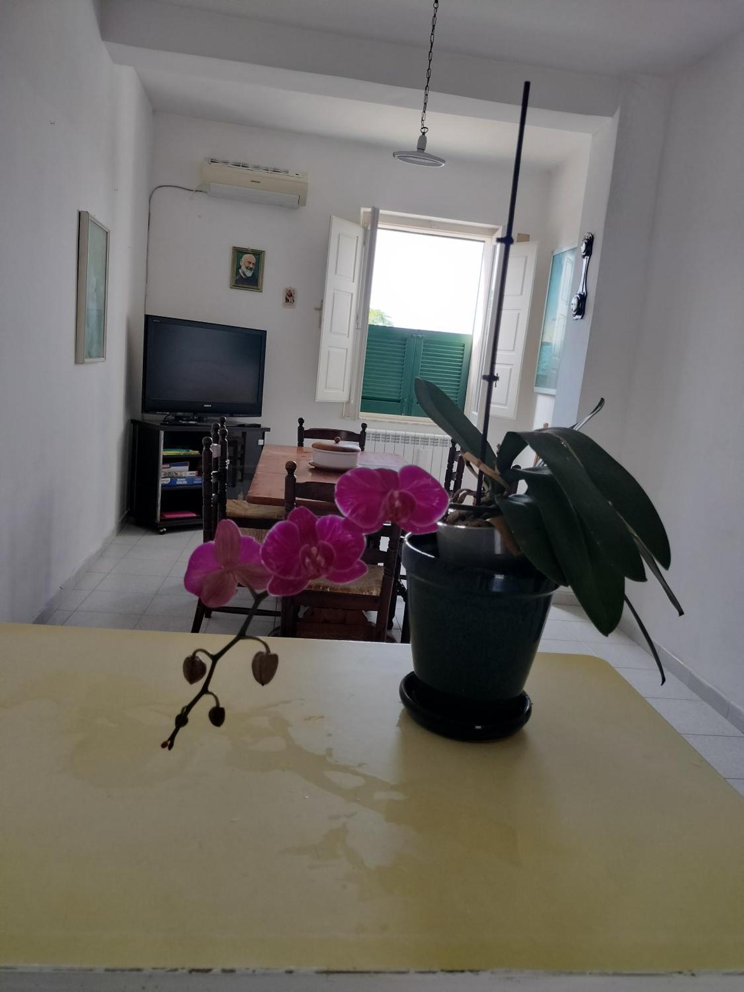 Sunny House Apartment Parghelia Exterior photo
