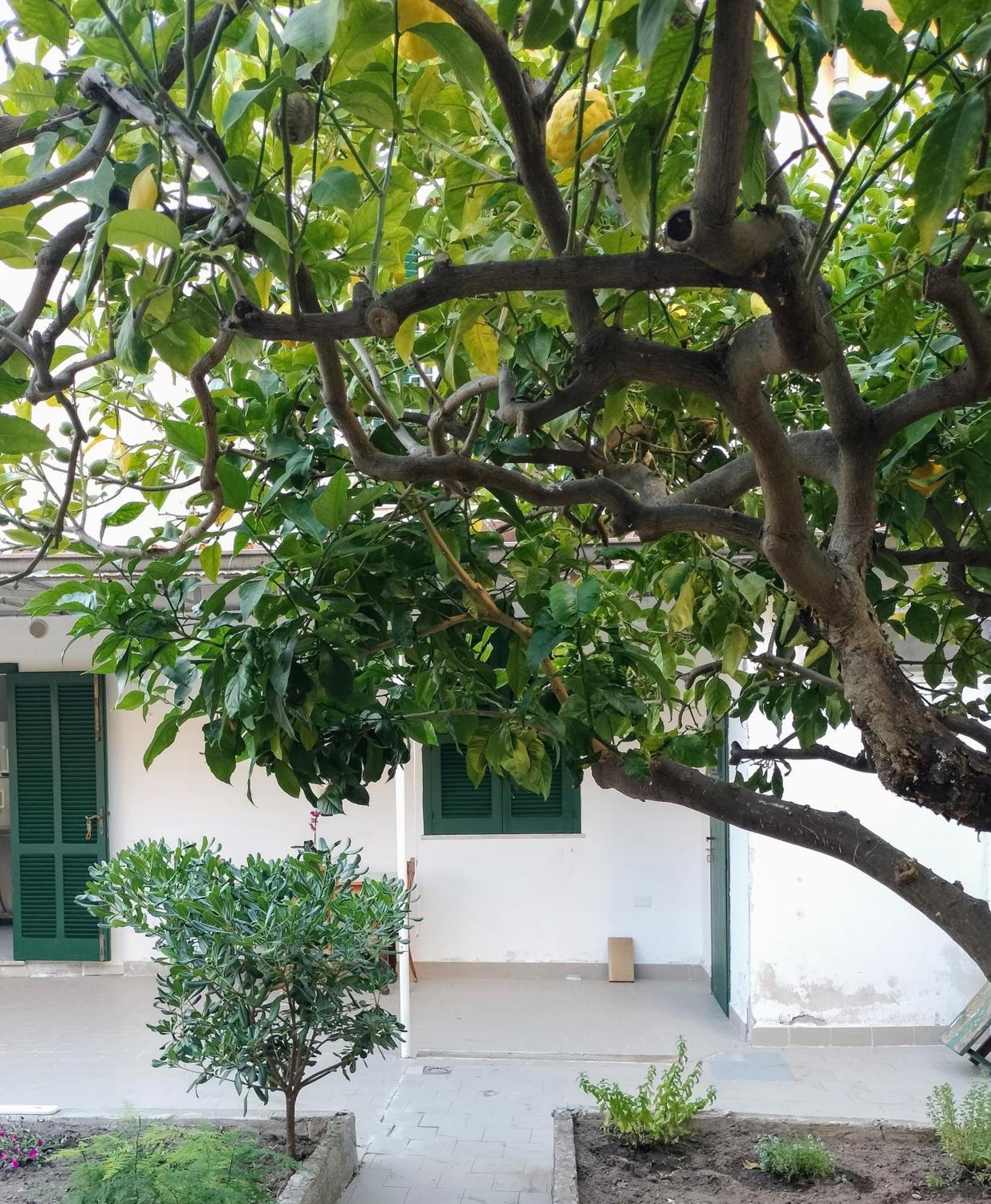 Sunny House Apartment Parghelia Exterior photo